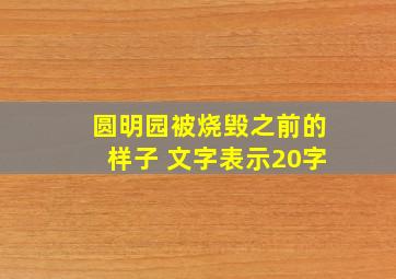 圆明园被烧毁之前的样子 文字表示20字